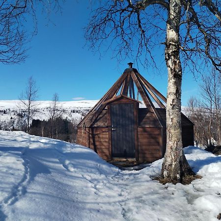 Hessdalen Ufocamp Apartment Vårhus Exterior photo